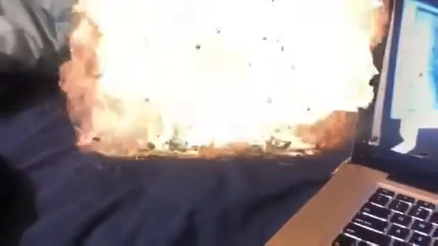 North Korea attacks my can of jim beam смотреть онлайн