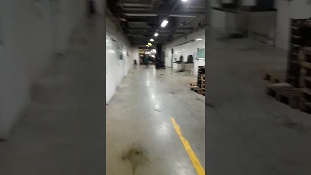 Робота Польща, шампіньйони. Частина 2 смотреть онлайн