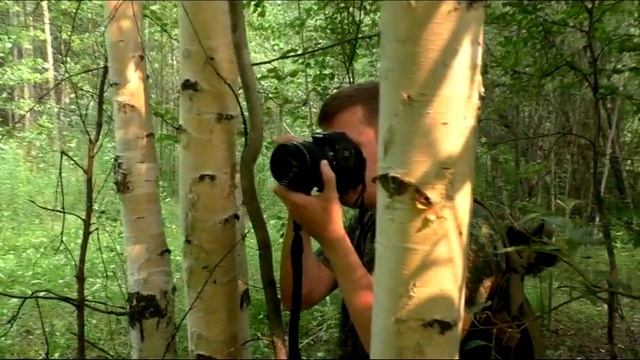 Пошли девки в лес гулять смотреть онлайн