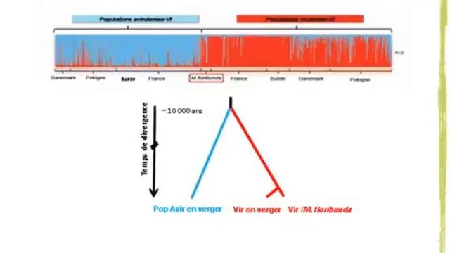 Bruno Le Cam - Syndrome de domestication chez les pathogènes. Cas de la tavelure du pommier смотреть онлайн