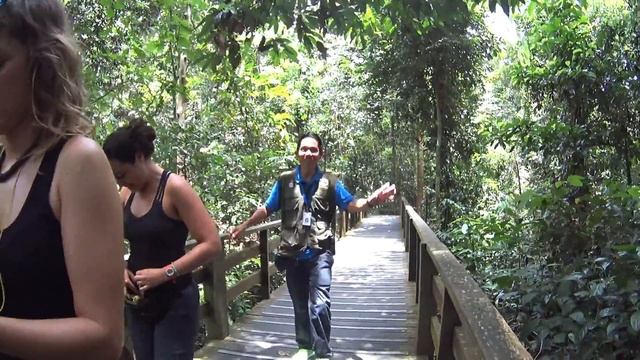 SEPILOK ORANGUTAN REHABILITATION CENTRE - Borneo, Sabah, Malaysia