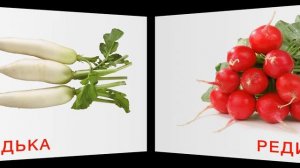 Карточки Домана | Овощи | Развивающее видео для детей