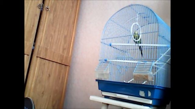 рассказ о сьёмках смотреть онлайн