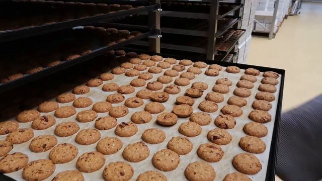 TerraSana Visits Cookie Factory