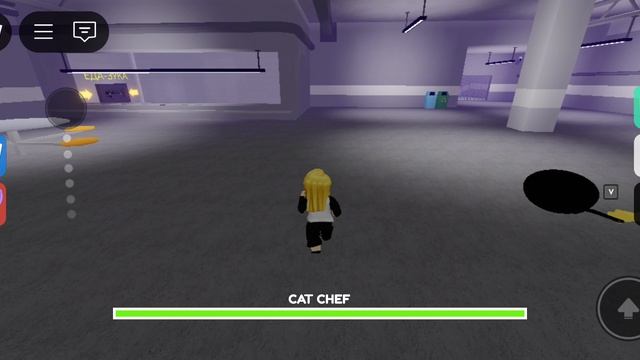 побег от Catnap