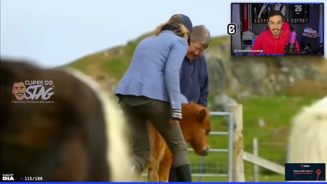 STAG REAGE: 7 CAVALOS MAIS CAROS DO MUNDO! | Clipes do Stag смотреть онлайн
