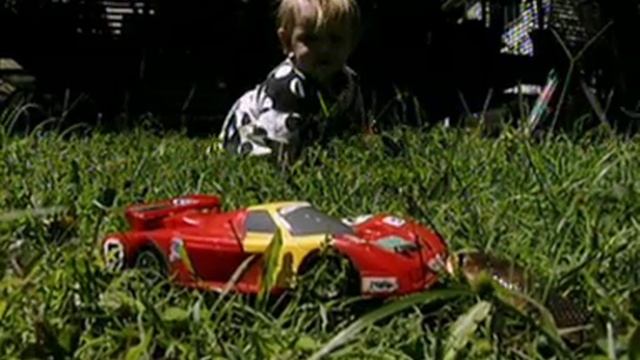 Deadly Australians Taipan.mov смотреть онлайн