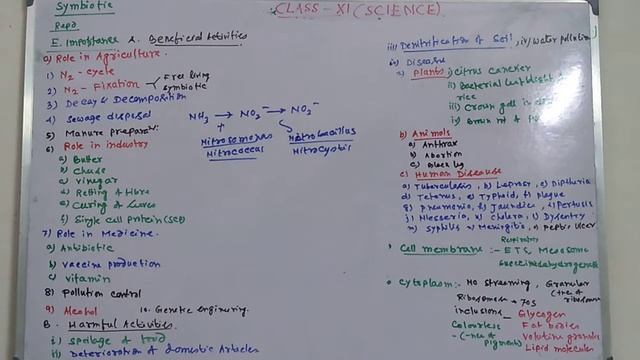 Economic importance of Bacteria | CONCEPTUALBIOSTUDY|( Part - I)| Class- 11 смотреть онлайн