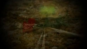 Где ты, Лето?