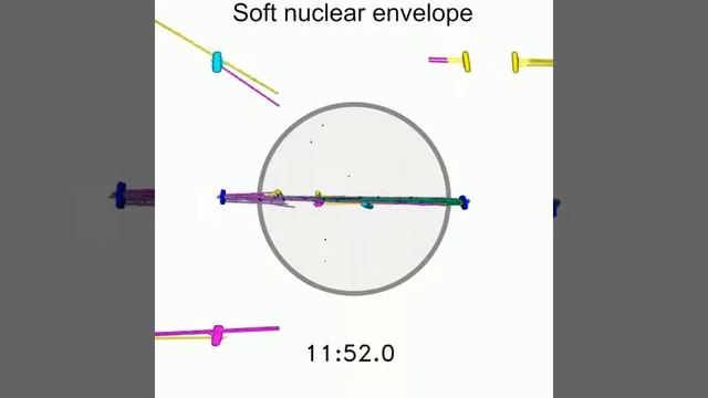 Simulation Of Fission Yeast Mitosis With Free SPBs