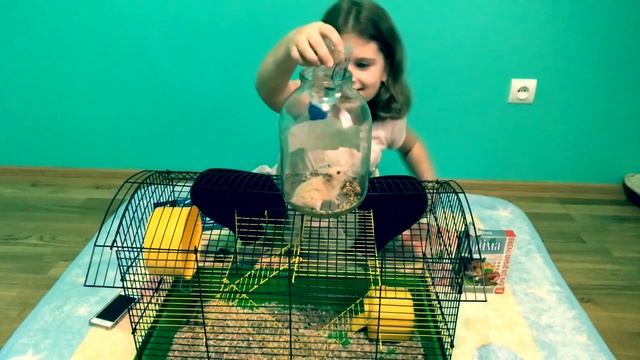 ІСТОРІЯ ✨ МОЇХ ✨ ХОМ‘ЯКІВ 🐹🧡🐹 смотреть онлайн