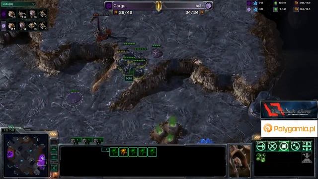 PATS 01. Cargul(Z) vs bobi(Z) смотреть онлайн