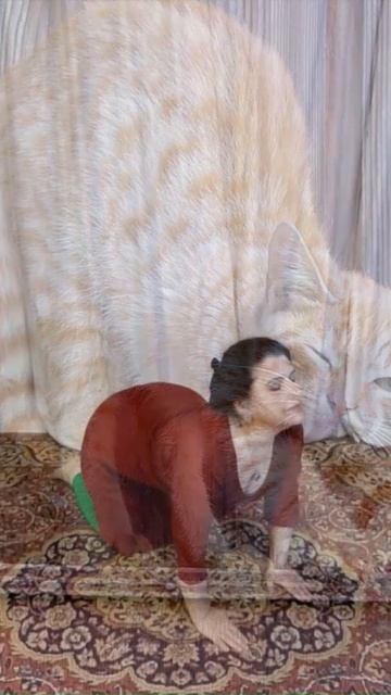 ot-boli-v-spine смотреть онлайн