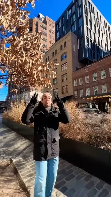 What are Air Rights in NYC? смотреть онлайн