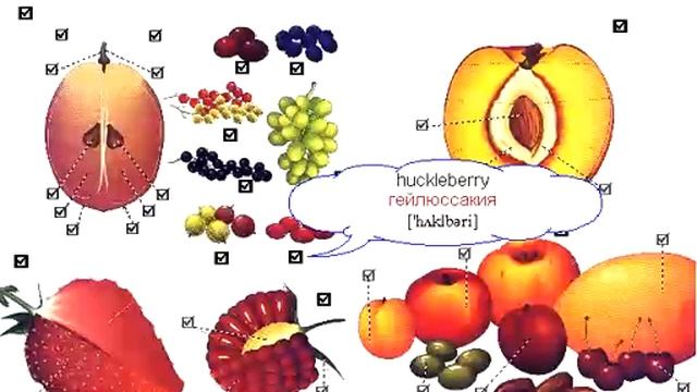 074 Ягоды и плоды смотреть онлайн