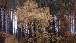 💧Капелька💦