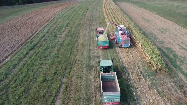 Siliranje 2022/Mengele SF6600&Zetor 6245&2xJohn Deere смотреть онлайн