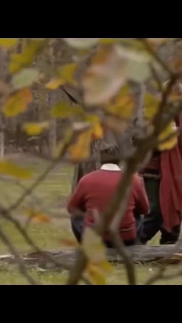 tg: entheogen_project - товары для осознанности #шнуров #пелевин #епифанцев #мухомор #ежовик