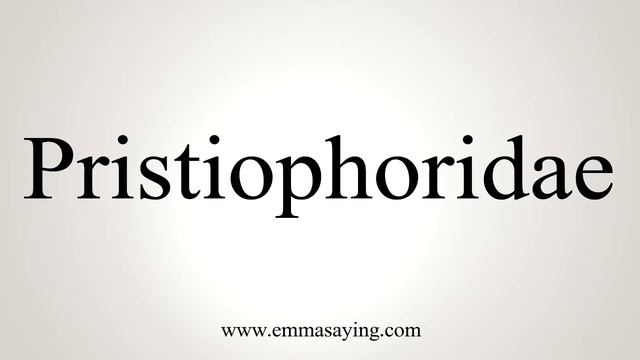 How To Say Pristiophoridae смотреть онлайн
