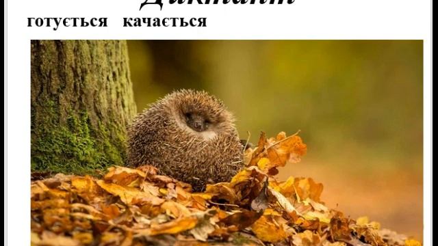 16. Навчаюся визначати частини тексту-розповіді, будувати текст.