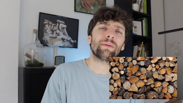🍄 Faire POUSSER Des CHAMPIGNONS Sans KIT ?