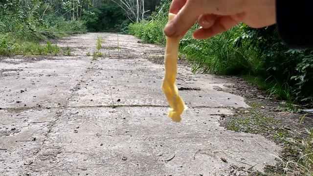 Редкие грибы и лишайники смотреть онлайн