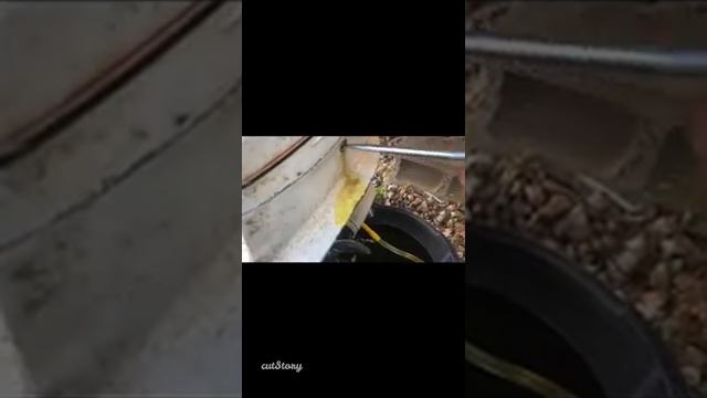 Johnson 6.0 light her up// Oil change смотреть онлайн