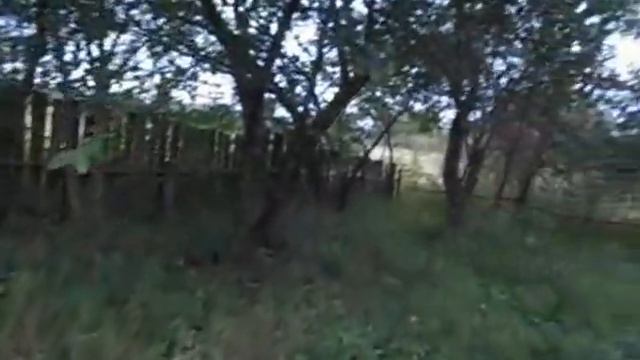 Козлянычи  Выкопал картофель, собирал боярышник  Сентябь 2021 года