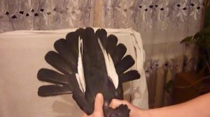 Курский турман