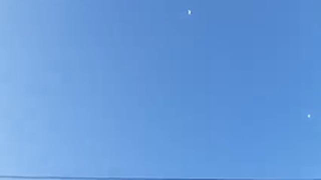 голуби Владислава Олтаржевского. Почти не видно! смотреть онлайн
