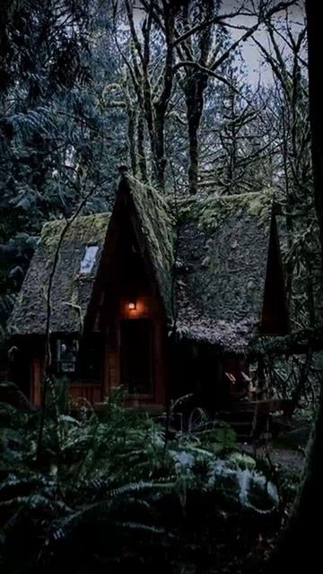 Говард Филлипс Лавкрафт | Грибы с Юггота 12 Наследник | Хоррор | Мифы Ктулху | шортс | ютубшортс