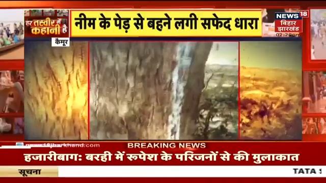 Kaimur Milk Tree: नीम के पेड़ से बहने लगी सफेद धारा, करामाती पेड़ के दर्शन के लिए उमड़ी भीड़ смотреть онлайн