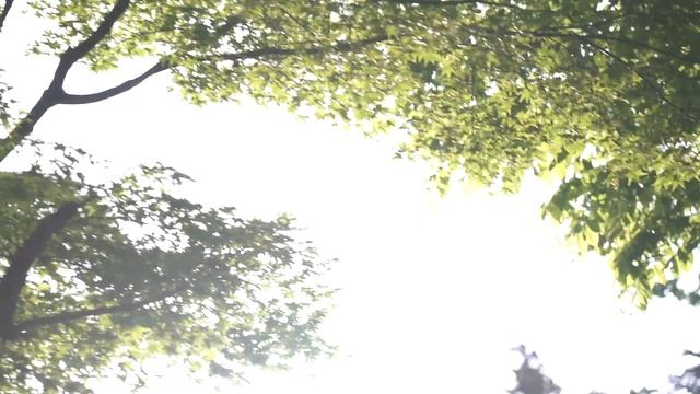 TAIRA - 夢の続き／Fast Life смотреть онлайн