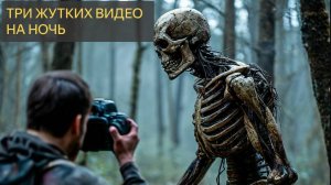 ТРИ ЖУТКИХ ВИДЕО НА НОЧЬ