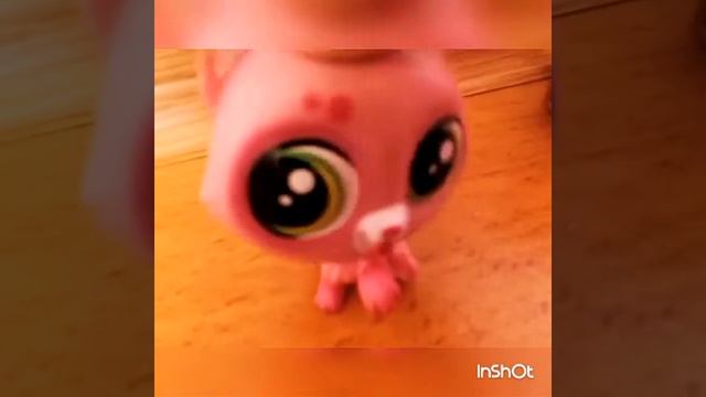 Грибы клип тает лёт смотреть онлайн