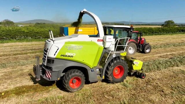 Claas Jaguar 860 | Second Cut Silage смотреть онлайн