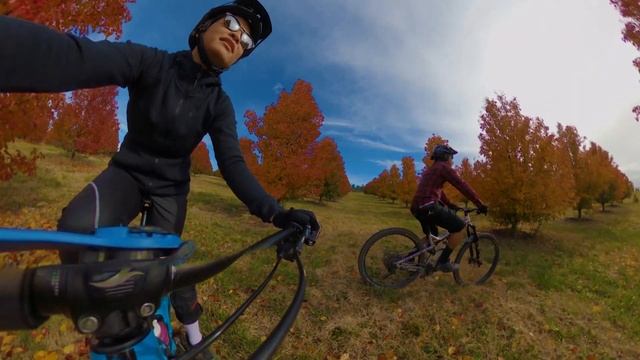 Autumn in Canberra смотреть онлайн