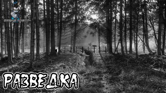 Страшные истории - Разведка