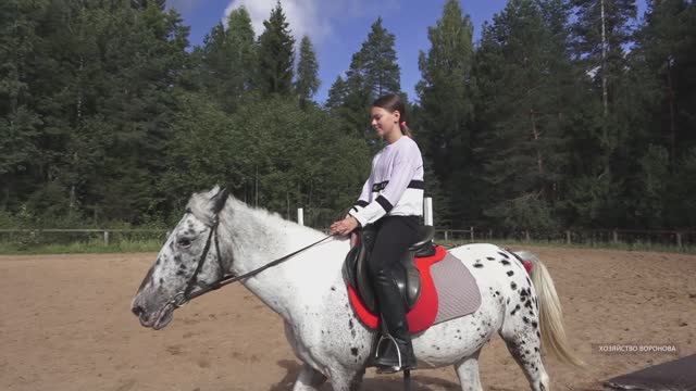 Заехал на ферму в Верхнюю Троицу. Лошади смотреть онлайн