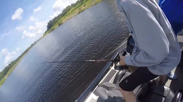 Catching A Tarpon on Live Shiner in Lake Tarpon!! смотреть онлайн