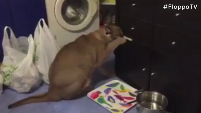 Big Floppa sometimes Made a Mistake : Caracal смотреть онлайн