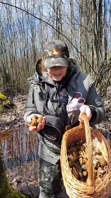 Сморчковая шапочка растет под водой! смотреть онлайн