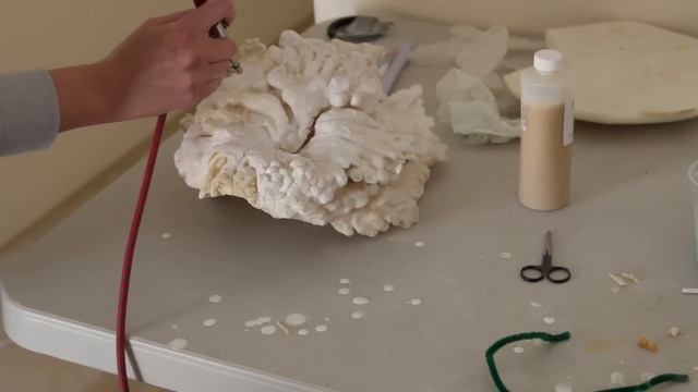 Clicker Makeup | Freakmo