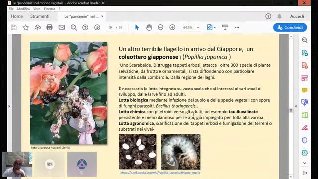 [LECTURES] Le "pandemie" nel mondo vegetale смотреть онлайн