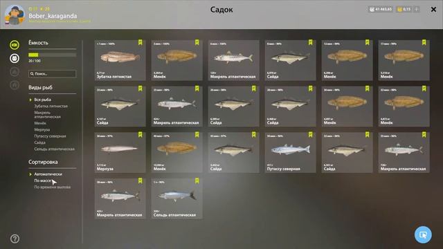 PP4 Морская рыбалка с Бобром. смотреть онлайн