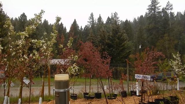 Snow & Rain Mix смотреть онлайн