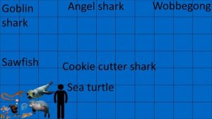 Sea Monsters size comparison without music