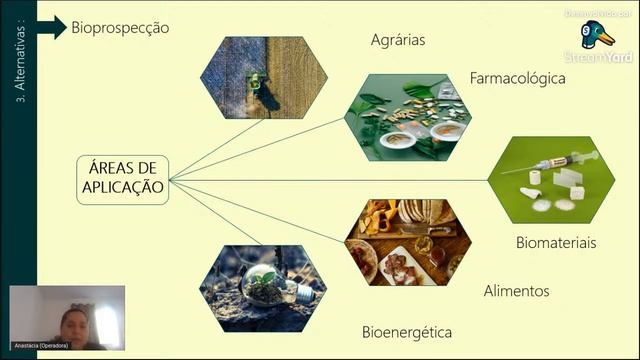 Bioprospecção de Plantas Nativas Brasileiras Para o Desenvolvimento de Novos Antimicrobianos смотреть онлайн