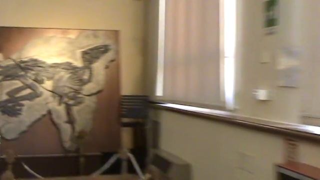 Скелет гигантского динозавра смотреть онлайн