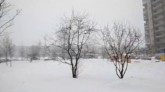 И снова о котиках и не только. Вечернее. смотреть онлайн